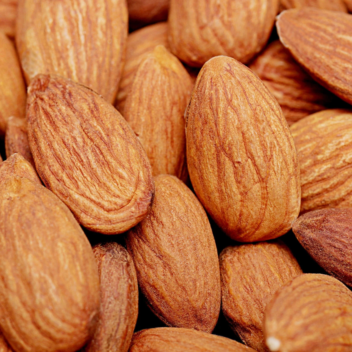 Almond Macarons (Pack of 6)