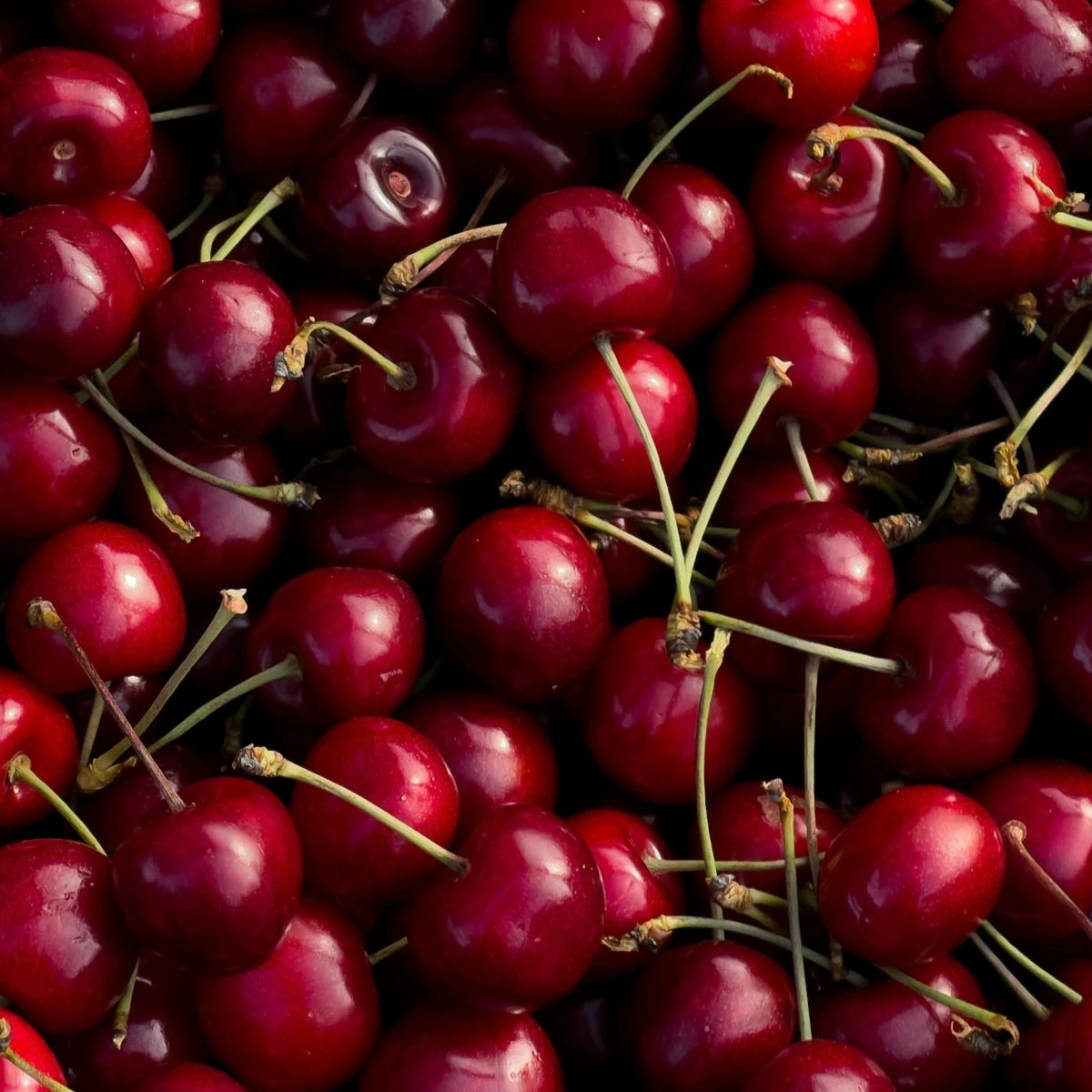 Cherry Macarons (Pack of 6)