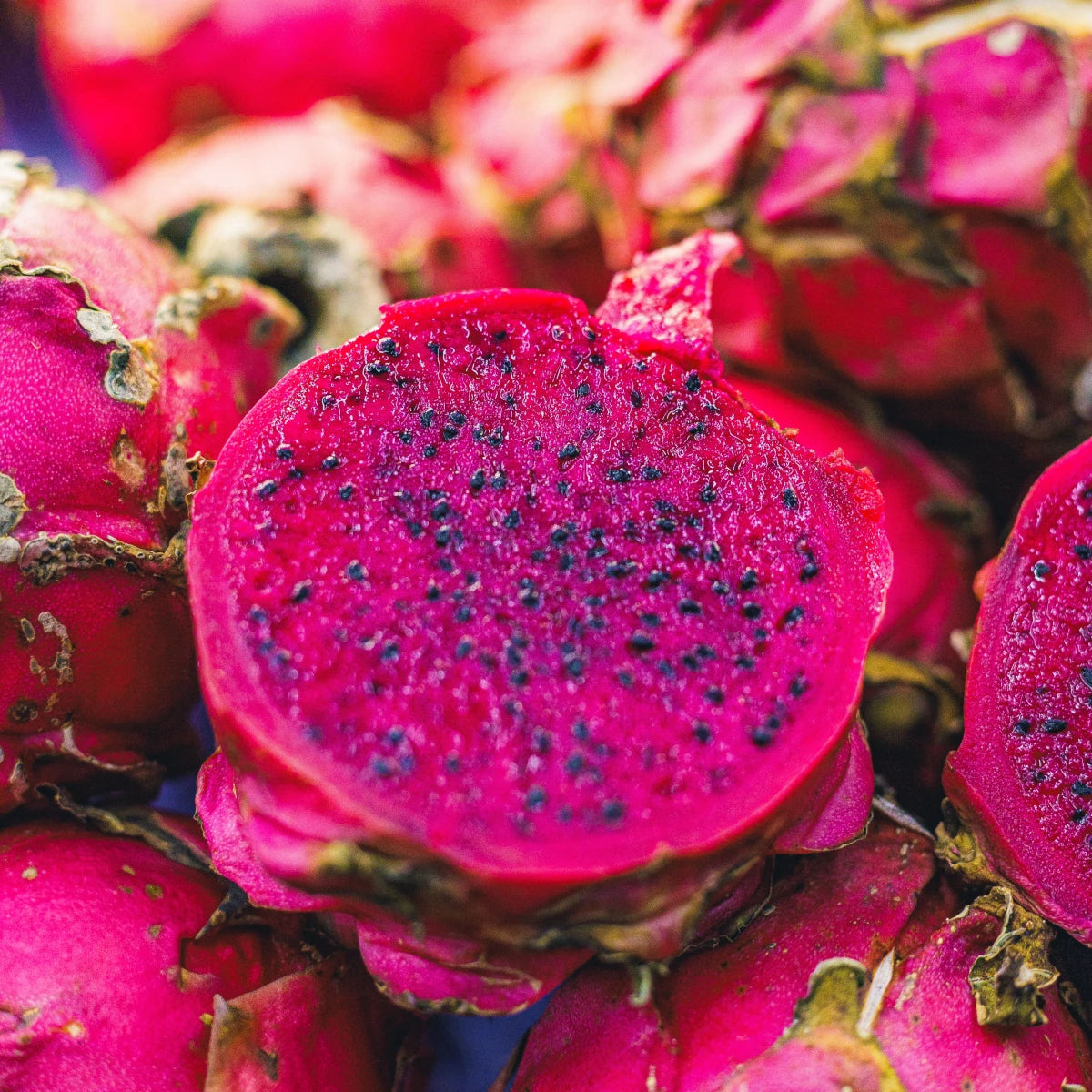 Dragon Fruit Macarons (Pack of 6)