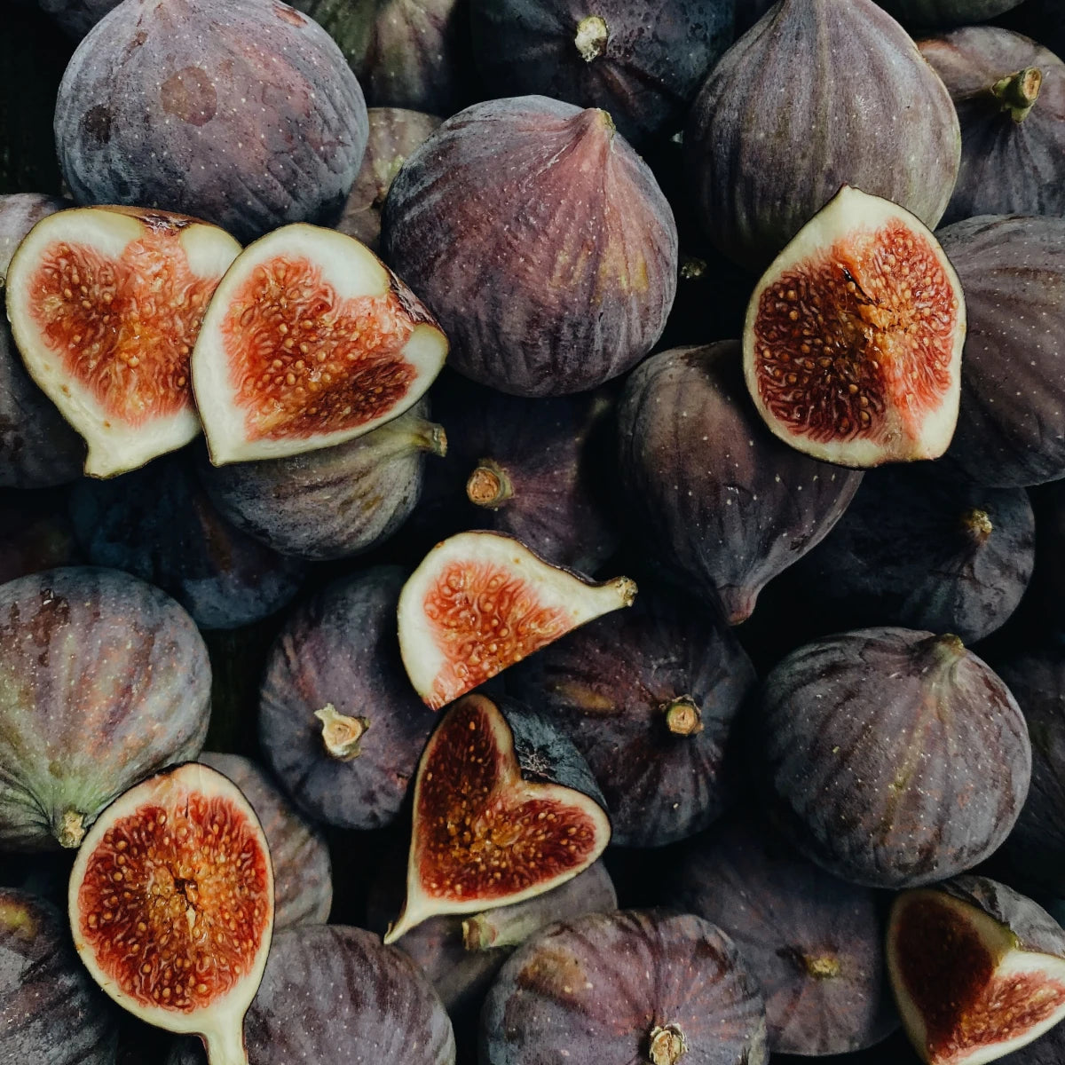 Fig Macarons (Pack of 6)