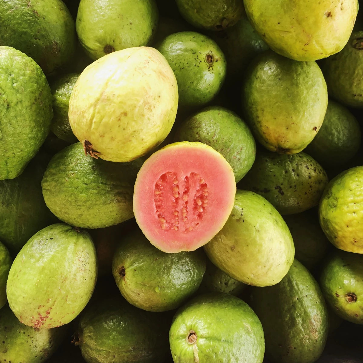 Guava Macarons (Pack of 6)