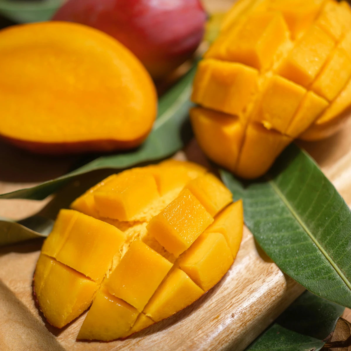 Mango Macarons (Pack of 6)