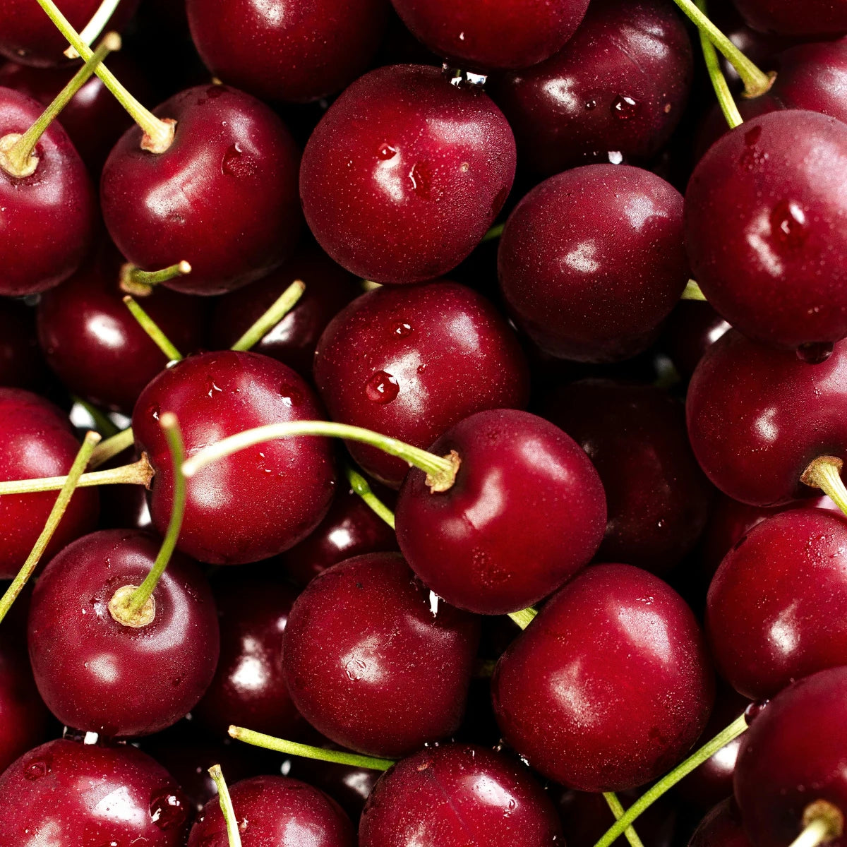 Morello Cherry Macarons (Pack of 6)