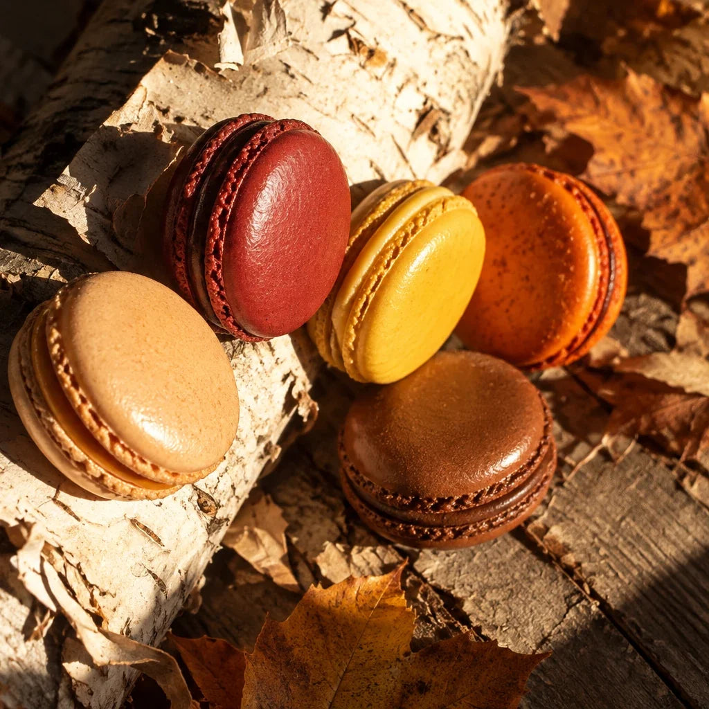 Fall Collection